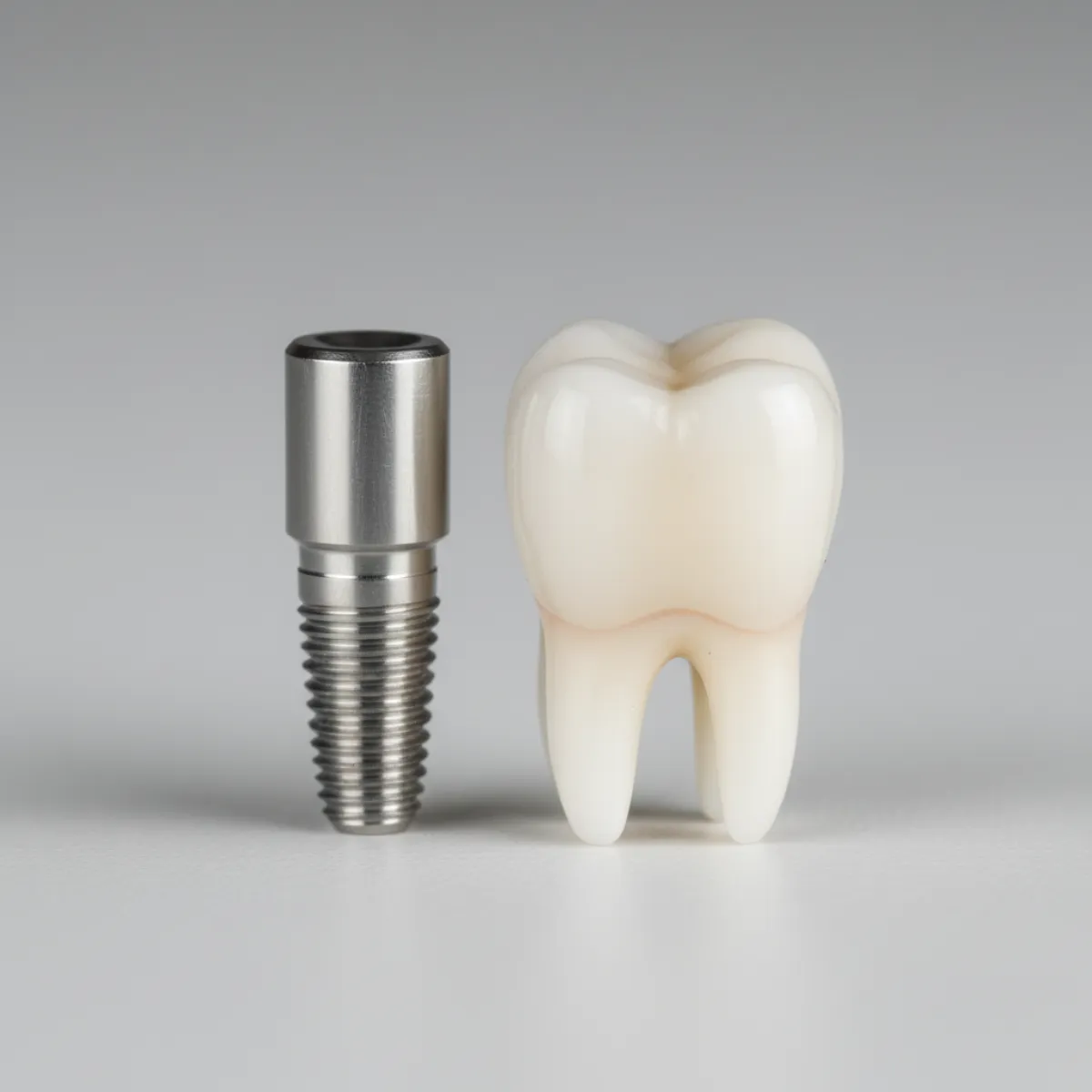 Close-up of a titanium dental implant post beside a prosthetic tooth